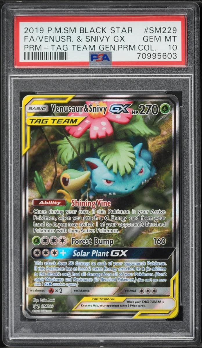 Venusaur & Snivy Gx