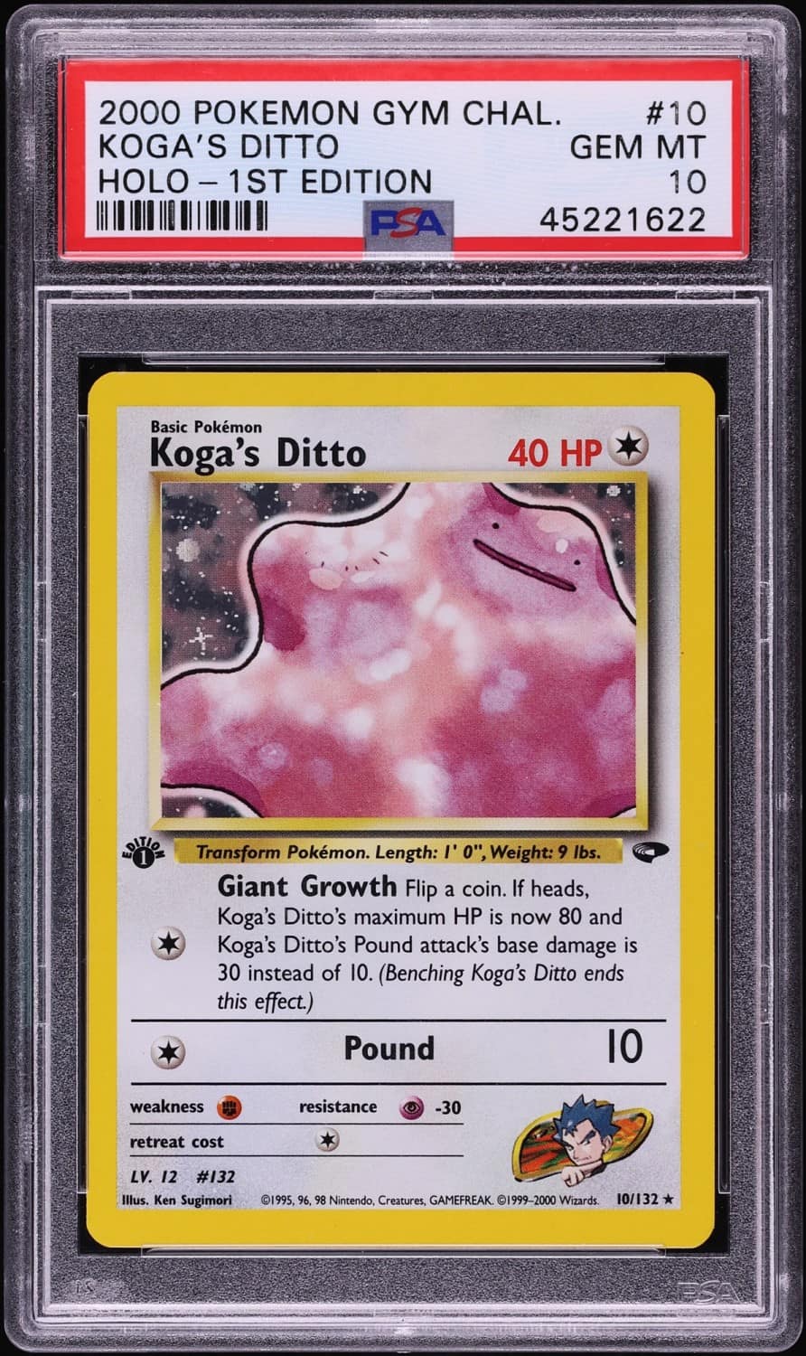 Koga'S Ditto