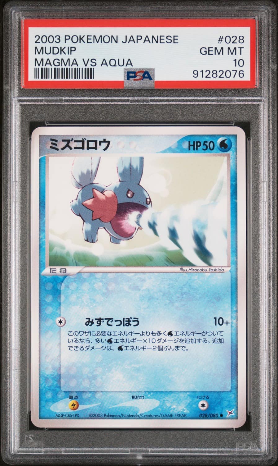 Mudkip