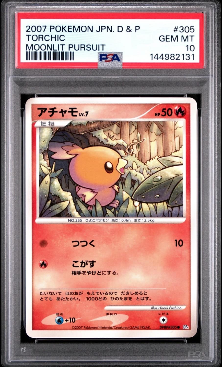 Torchic