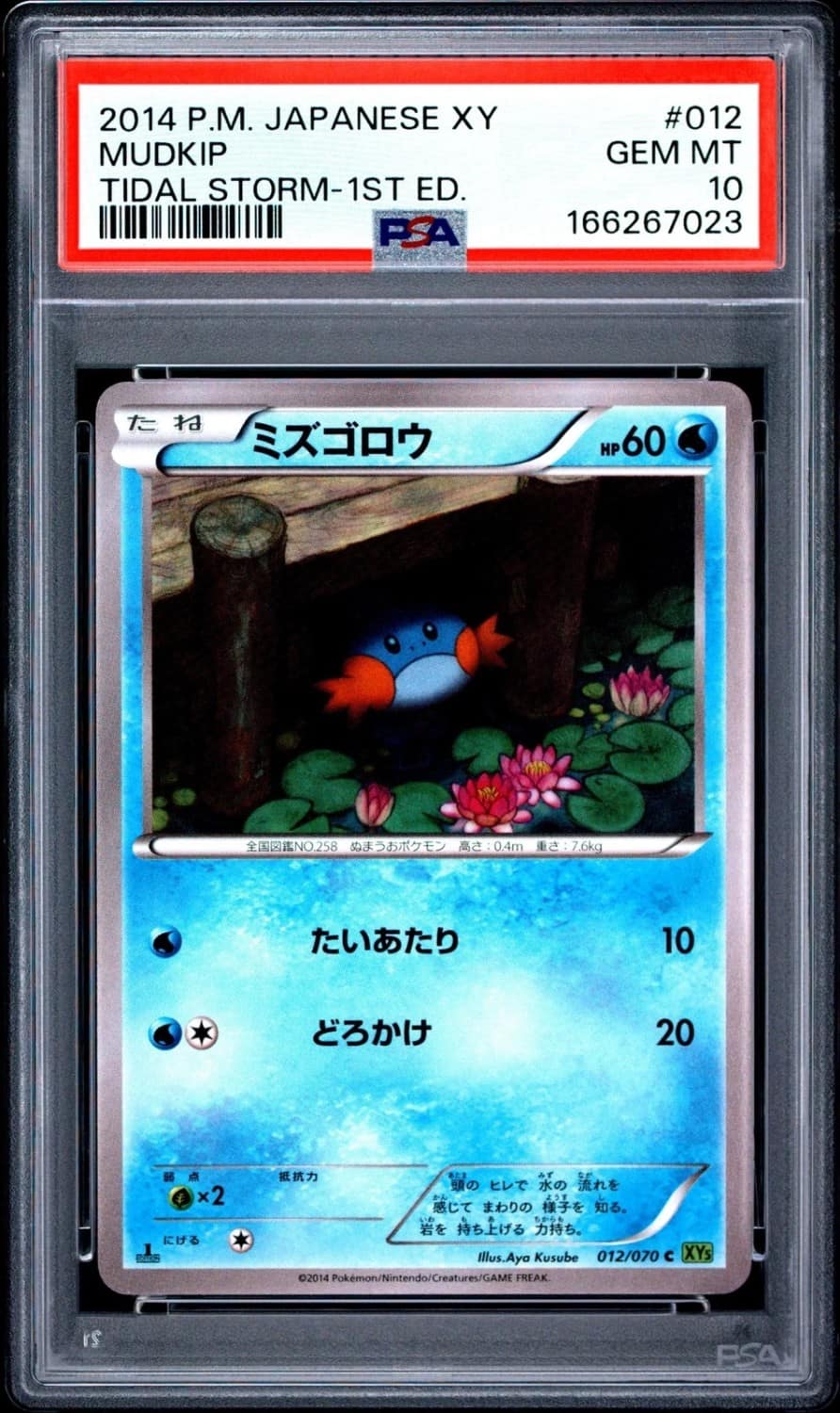 Mudkip
