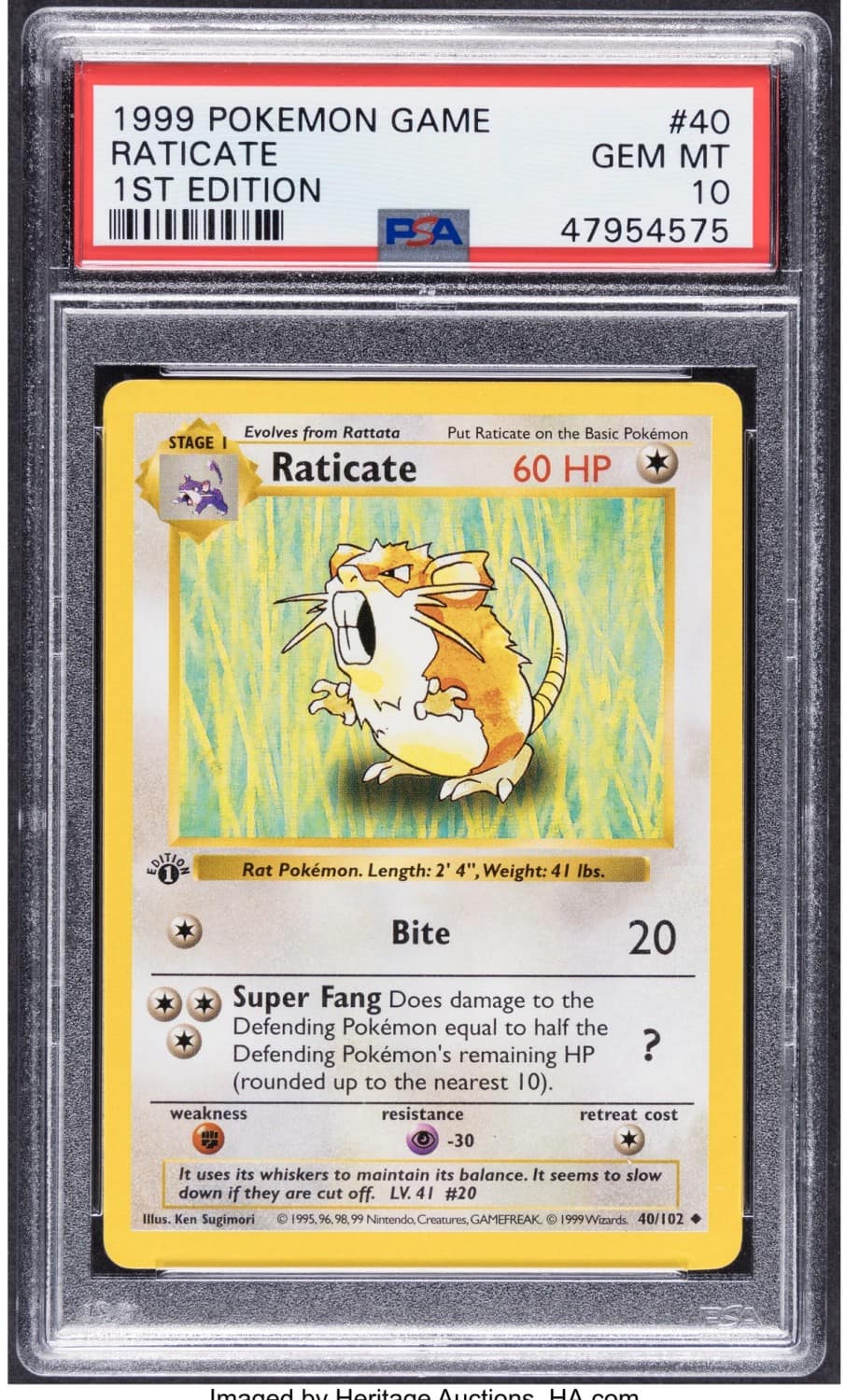 Raticate
