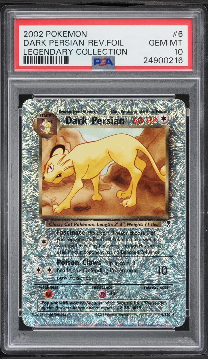 Dark Persian
