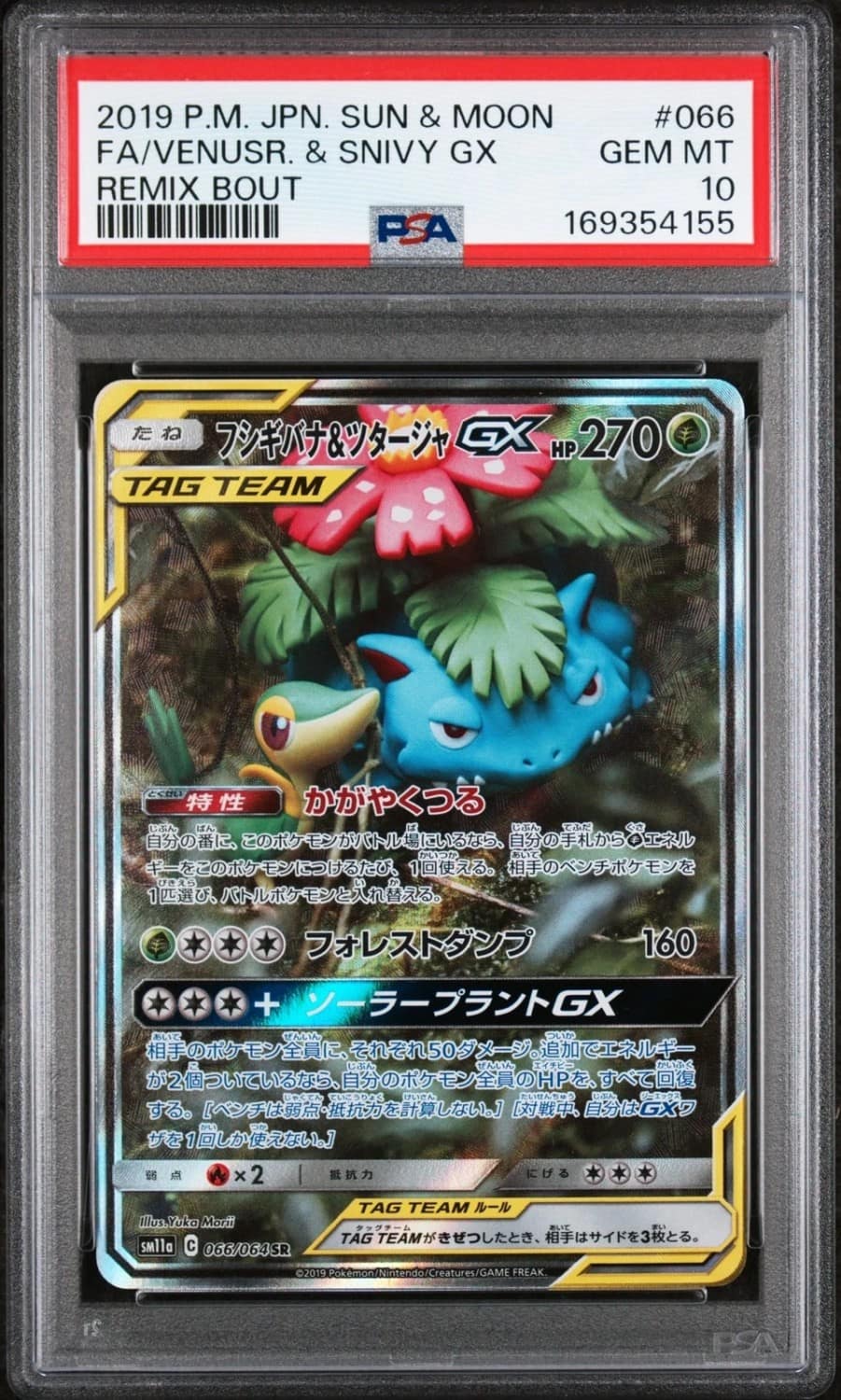 Venusaur & Snivy Gx