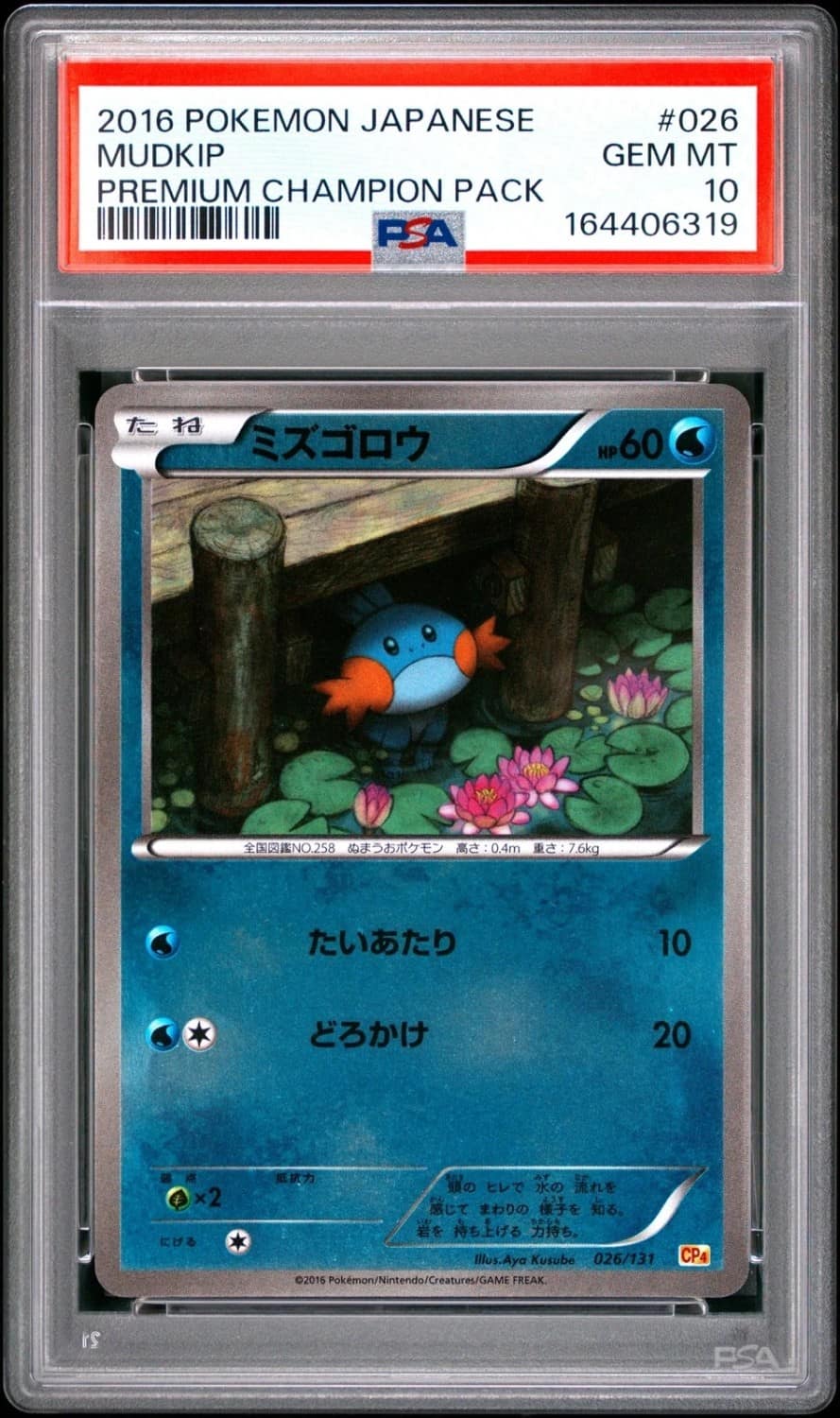 Mudkip