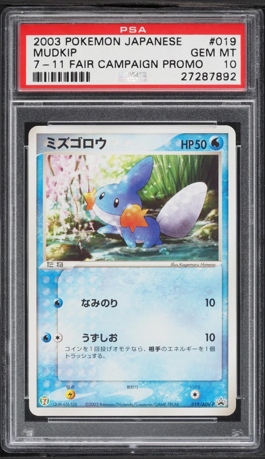 Mudkip