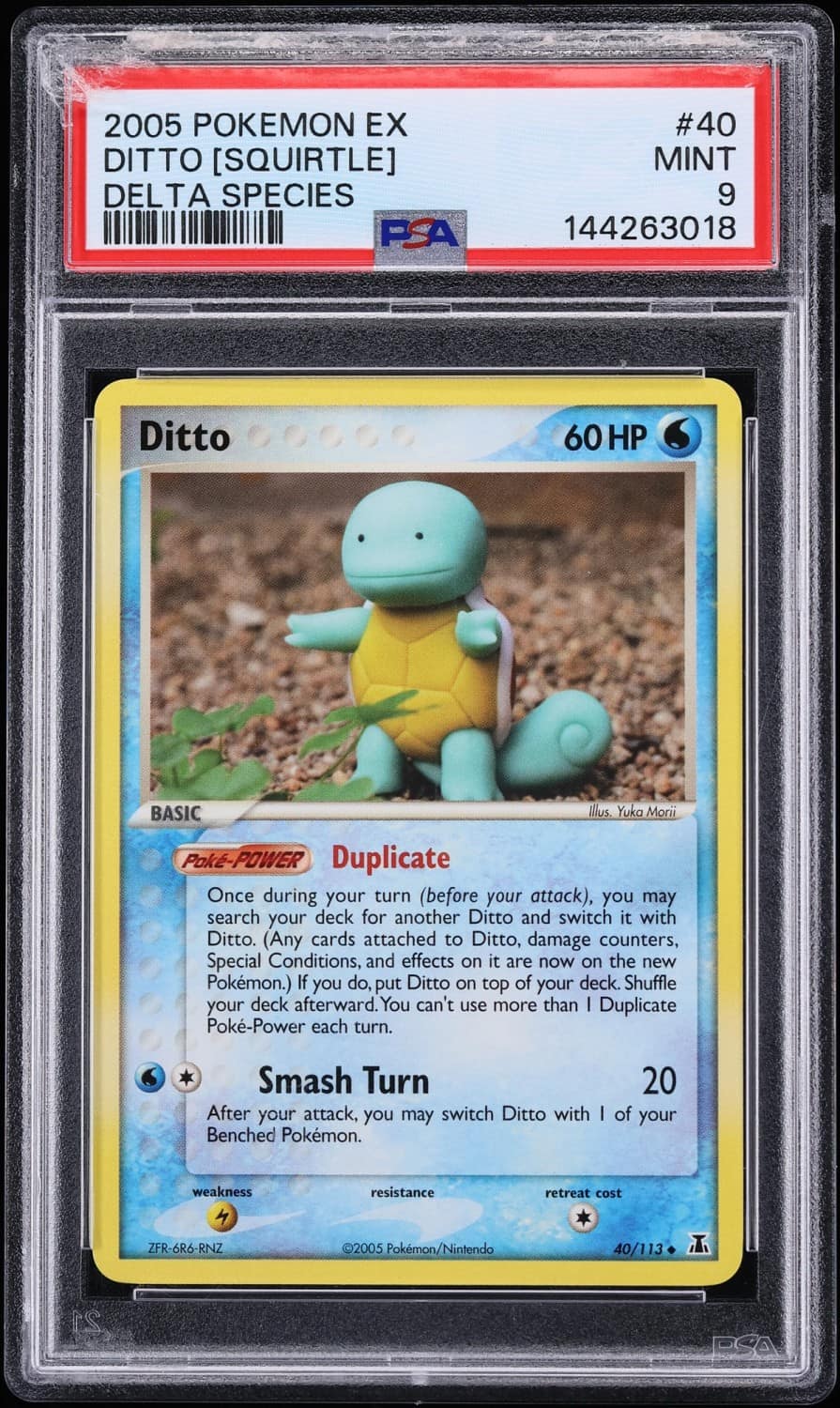 Ditto [squirtle]