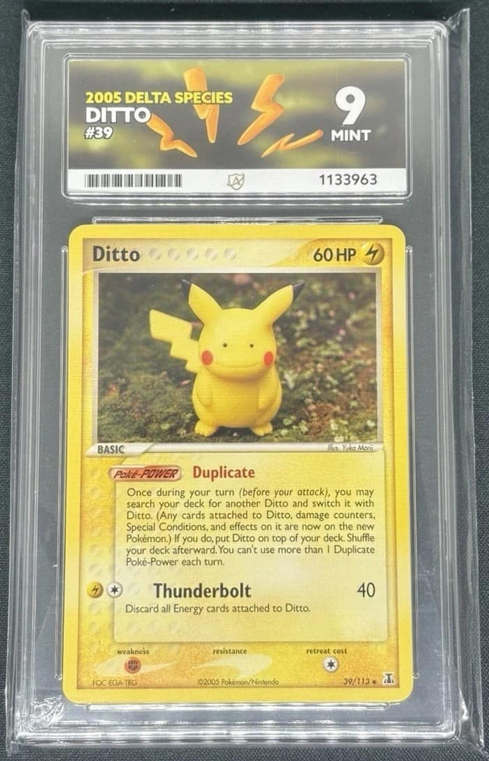 Ditto