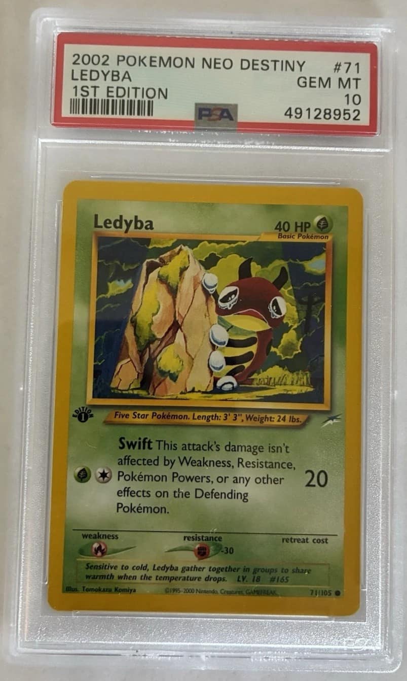 Ledyba