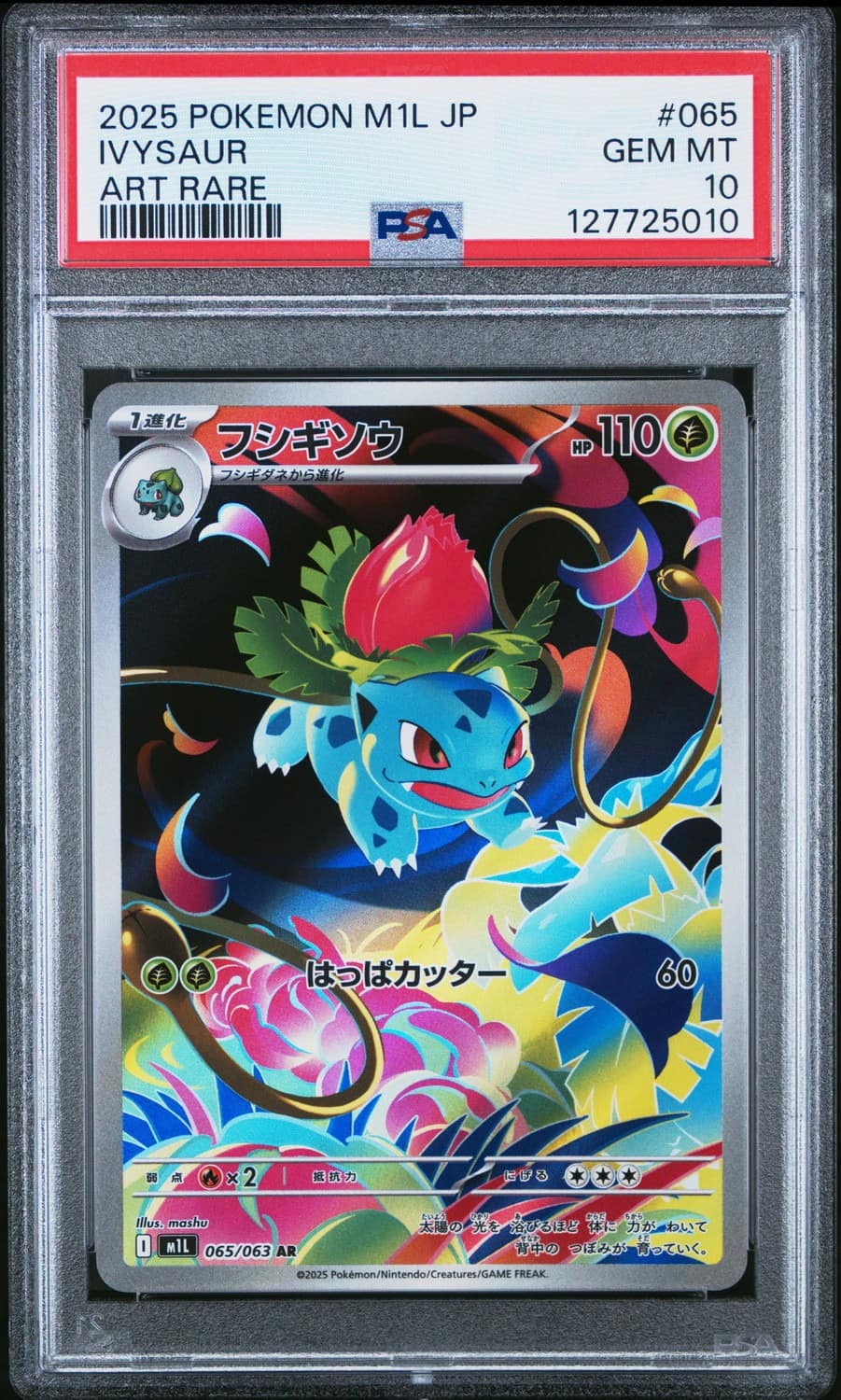Ivysaur