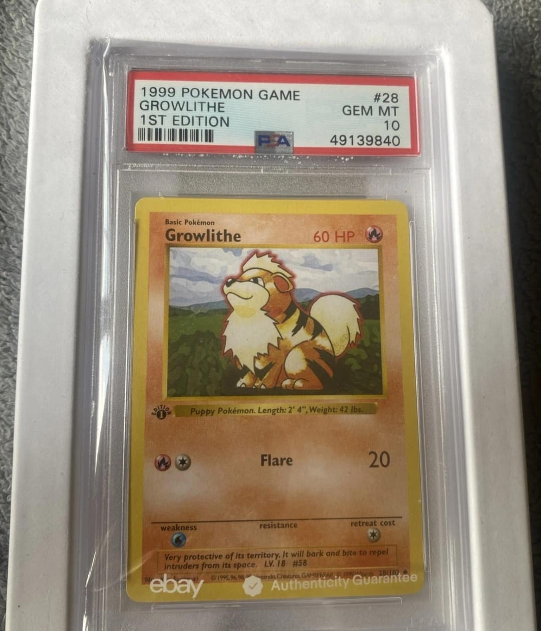Growlithe