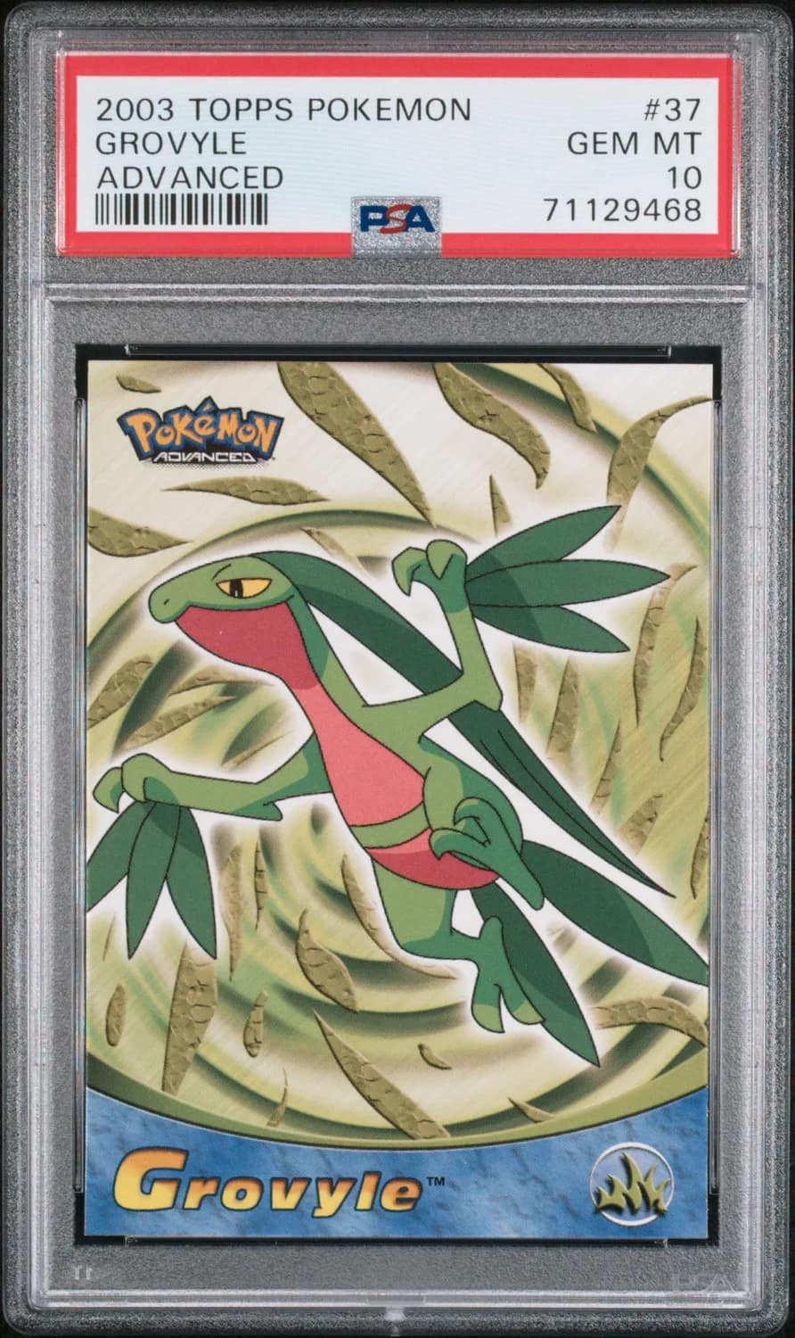 Grovyle