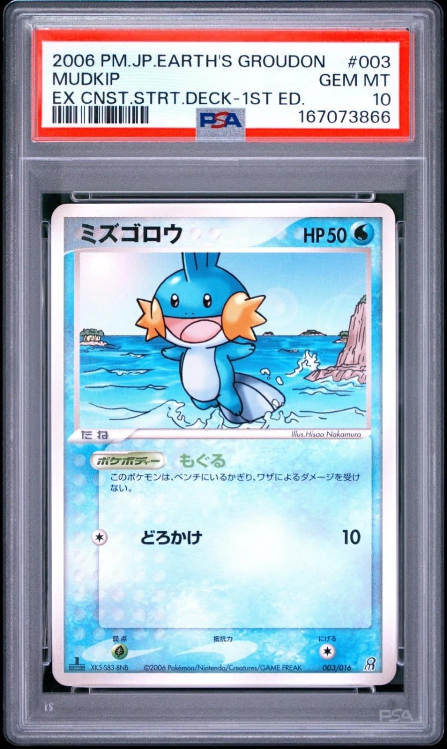 Mudkip