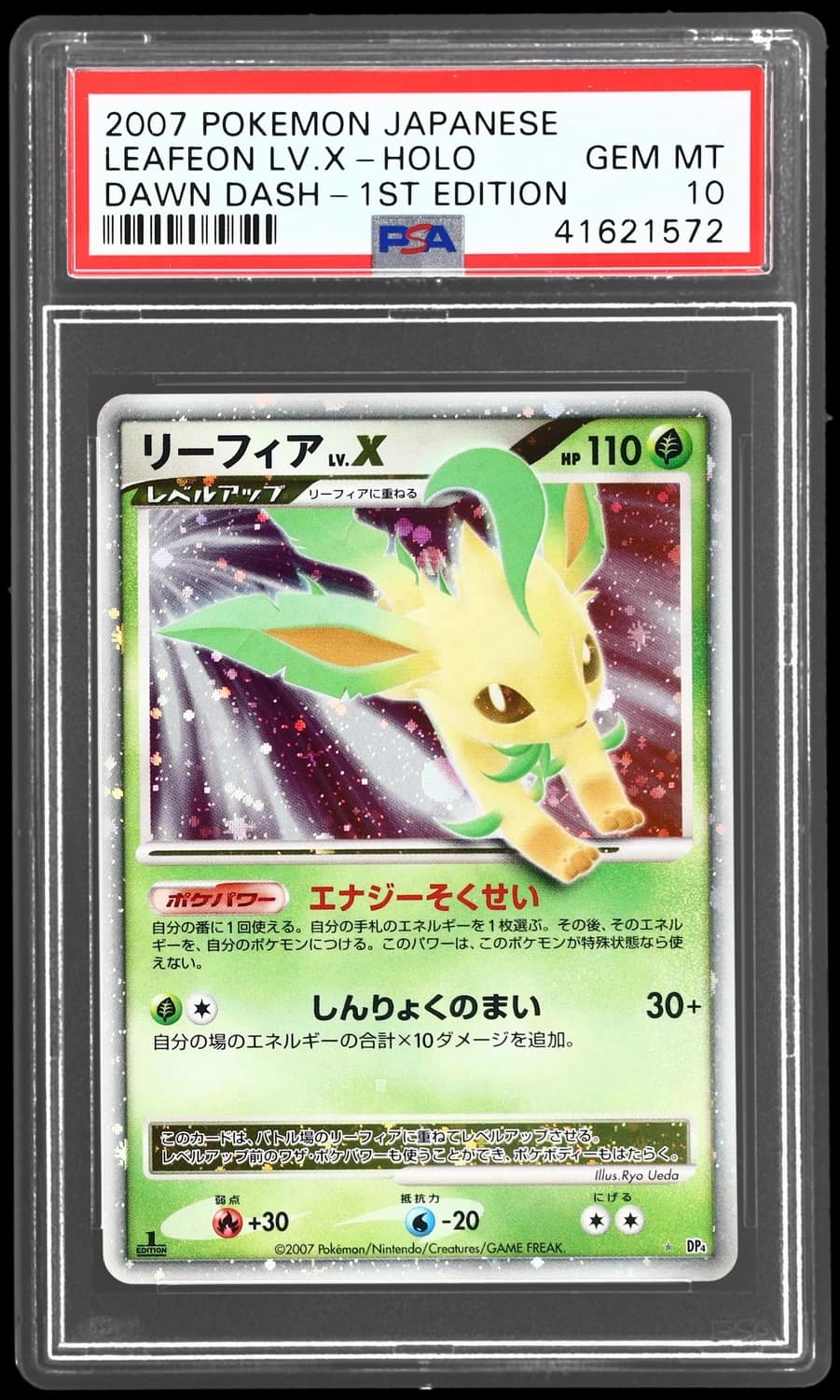 Leafeon Lv X