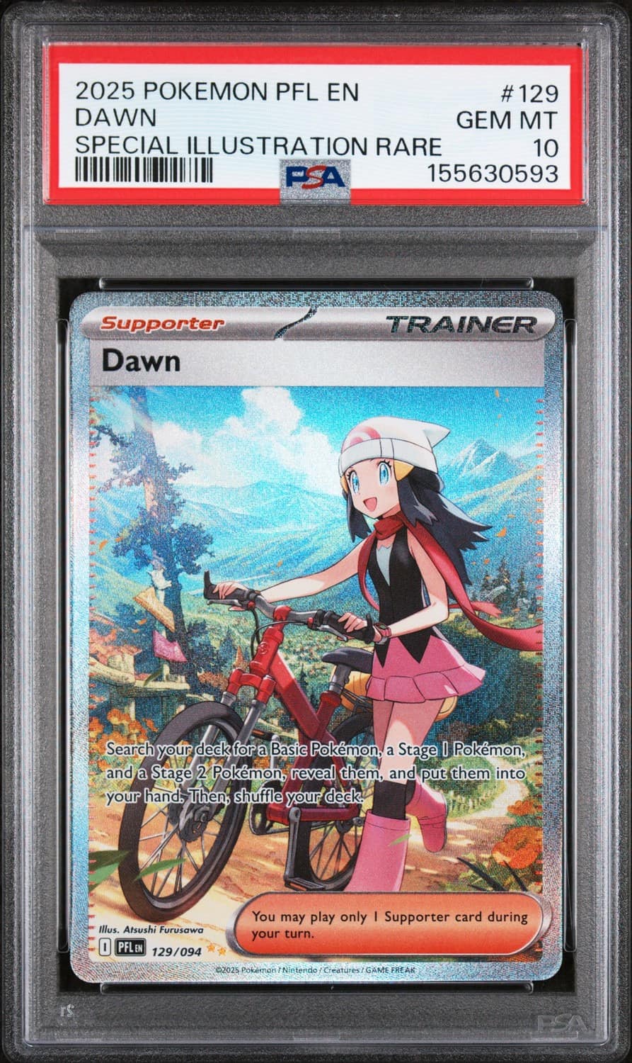 Dawn