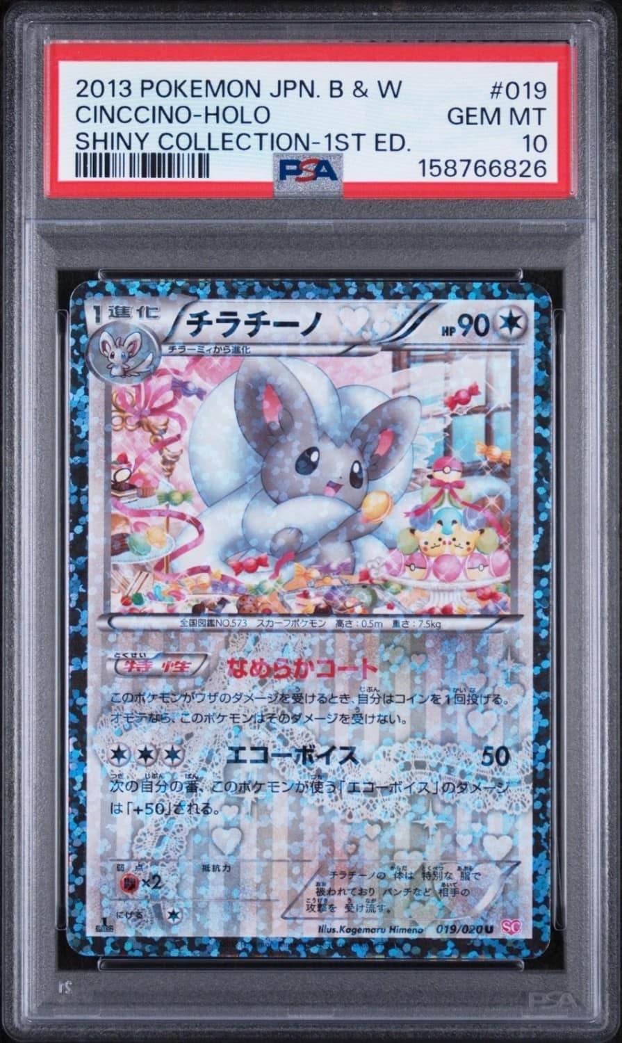 Cinccino