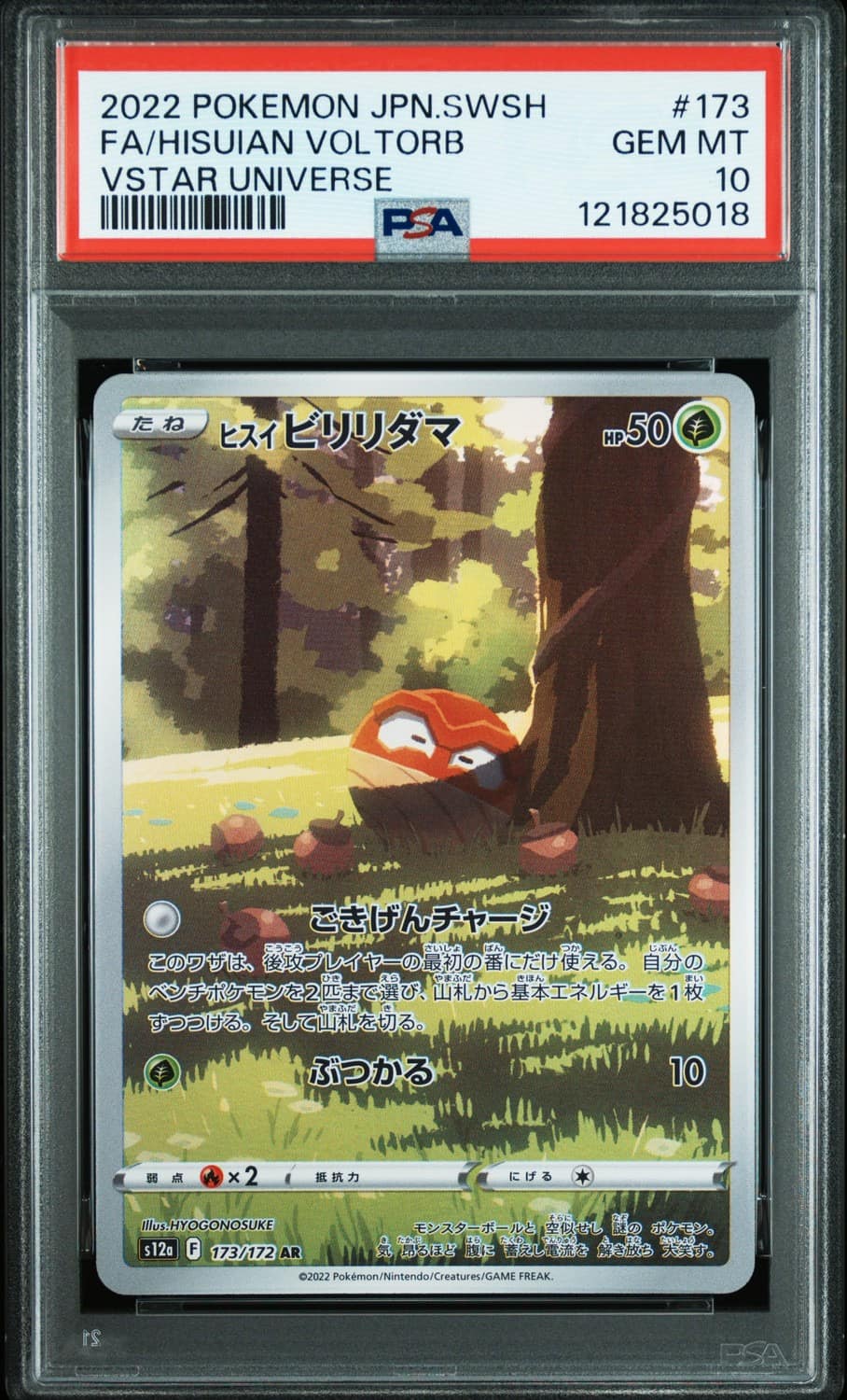 Hisuian Voltorb