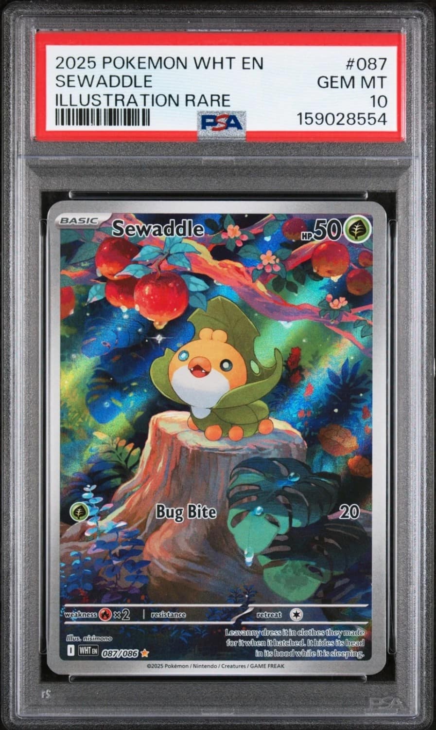 Sewaddle