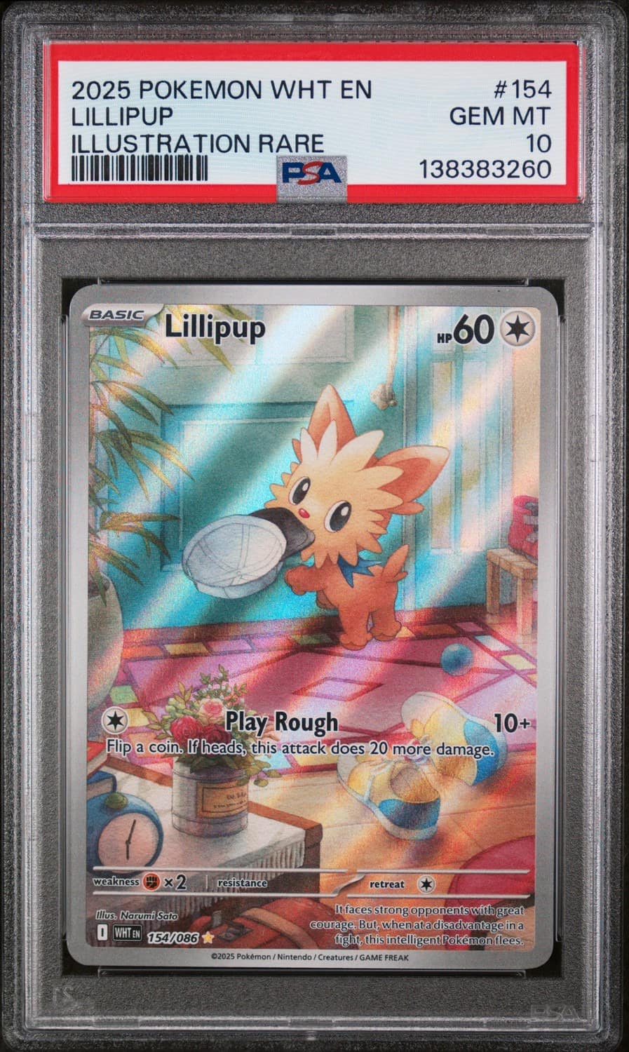 Lillipup
