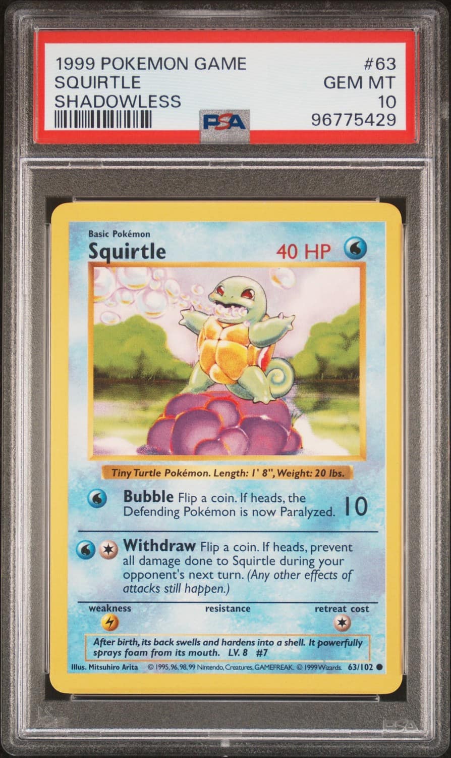 Squirtle
