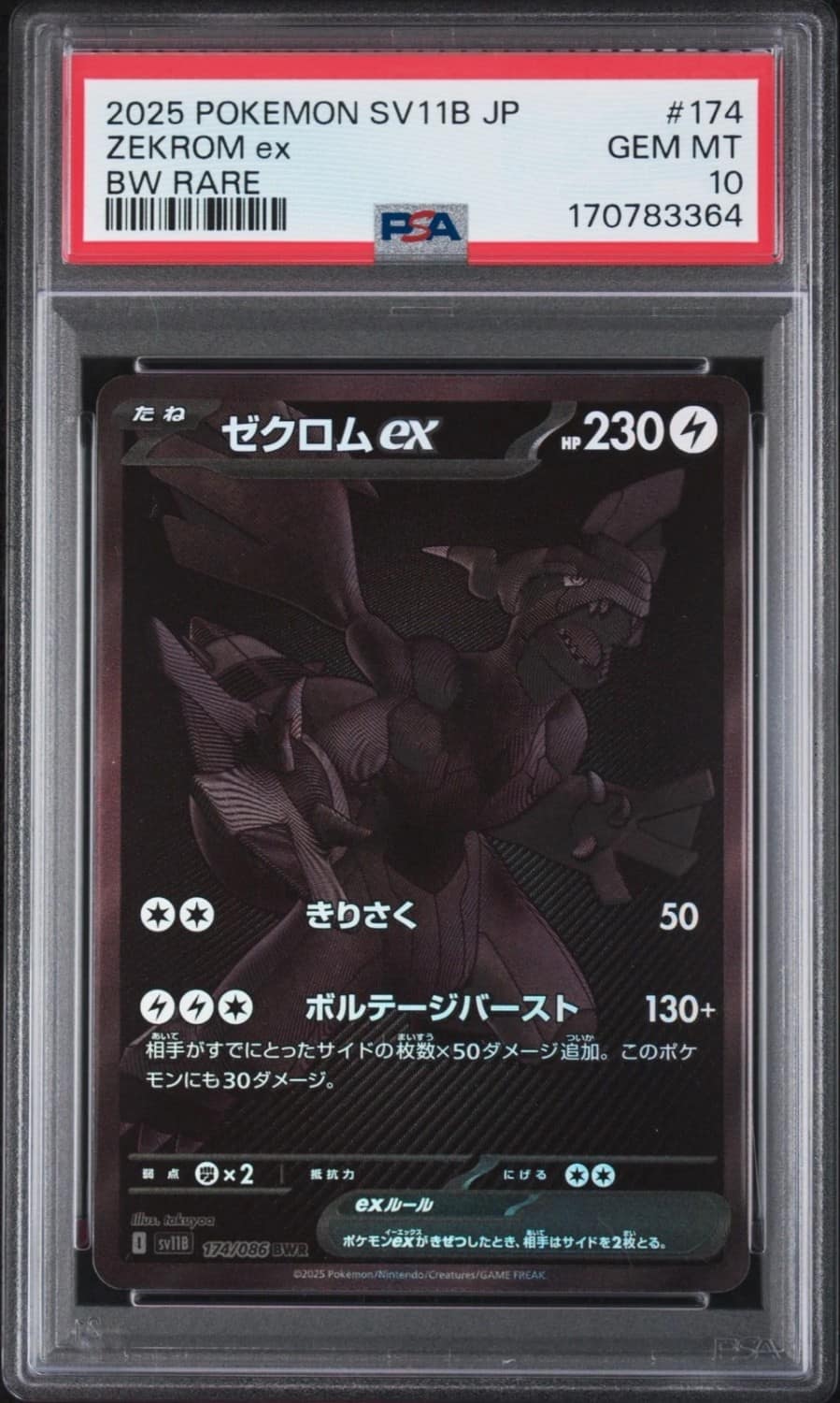 Zekrom Ex