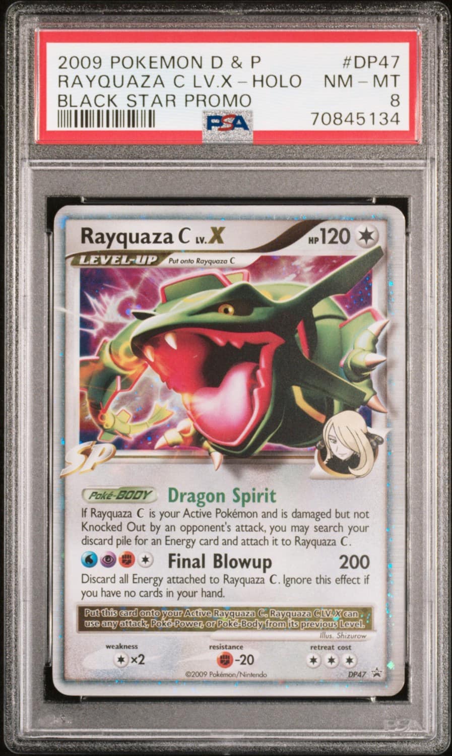 Rayquaza C Lv X