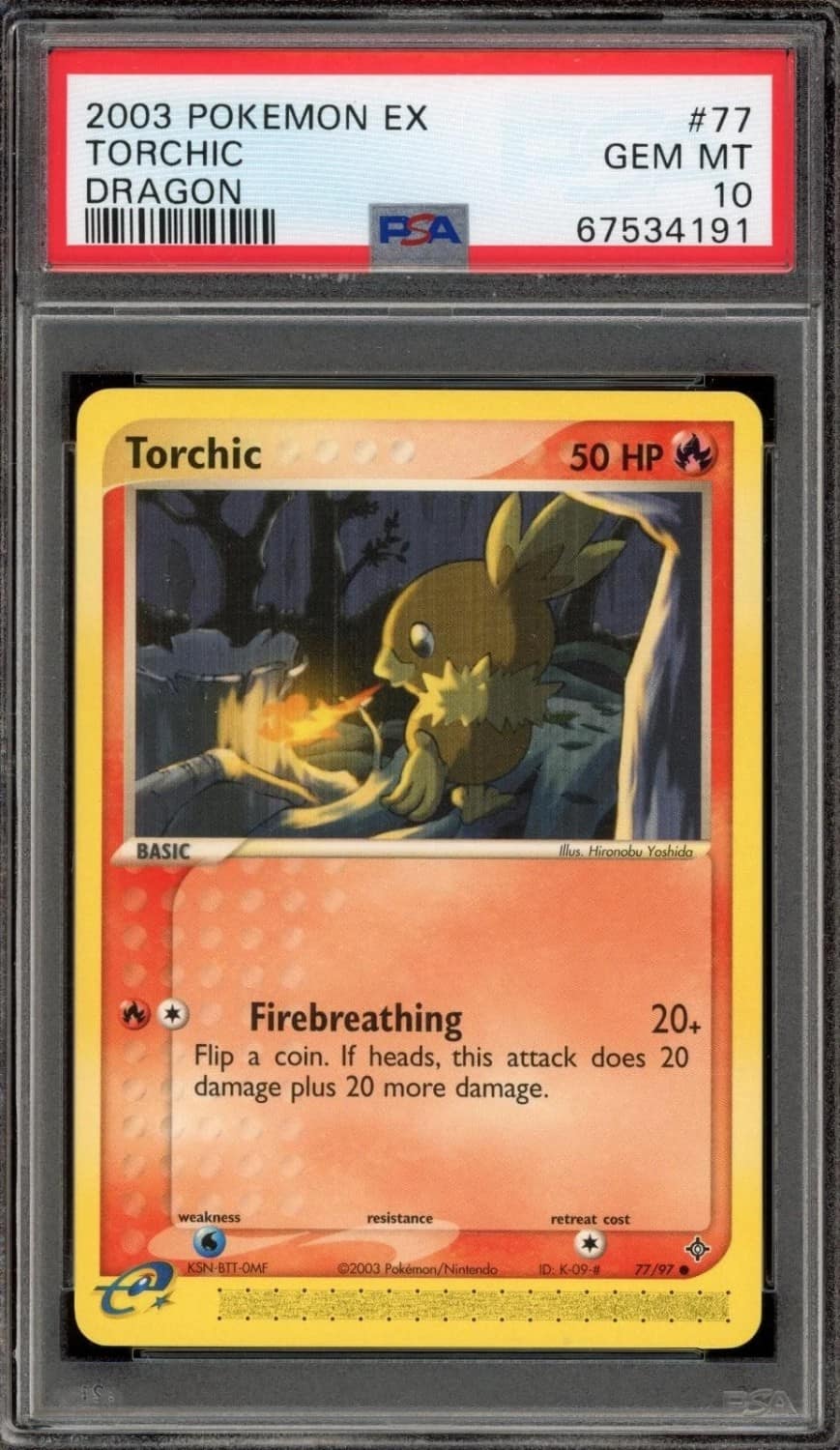 Torchic