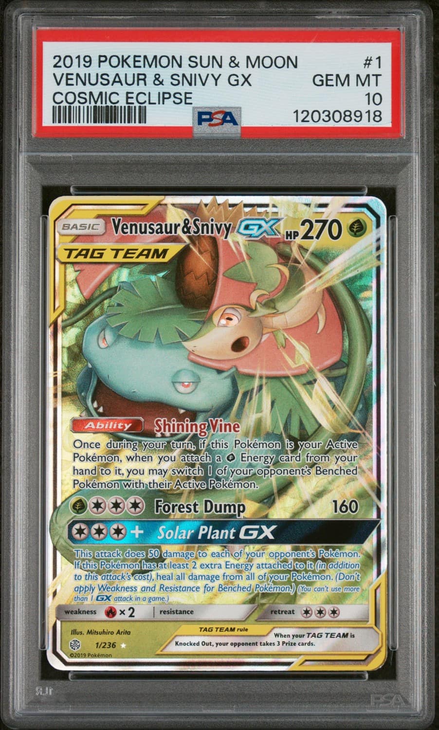 Venusaur & Snivy Gx