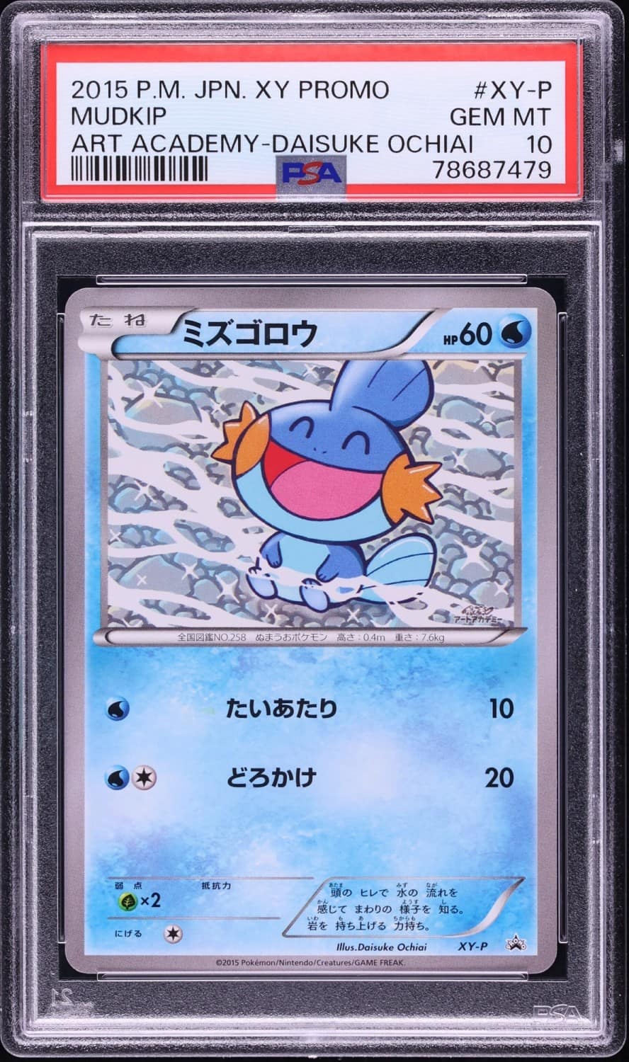 Mudkip