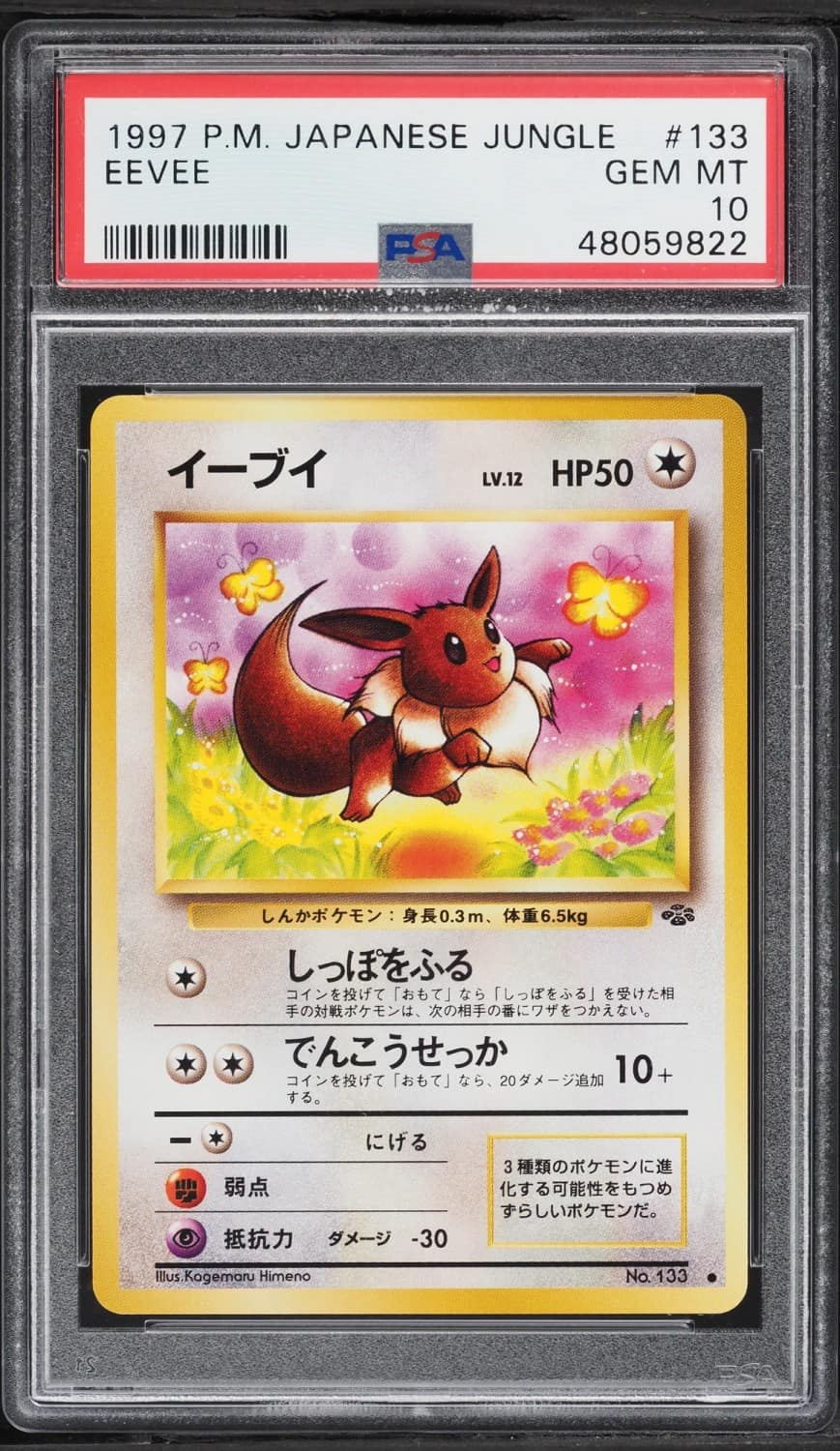 Eevee