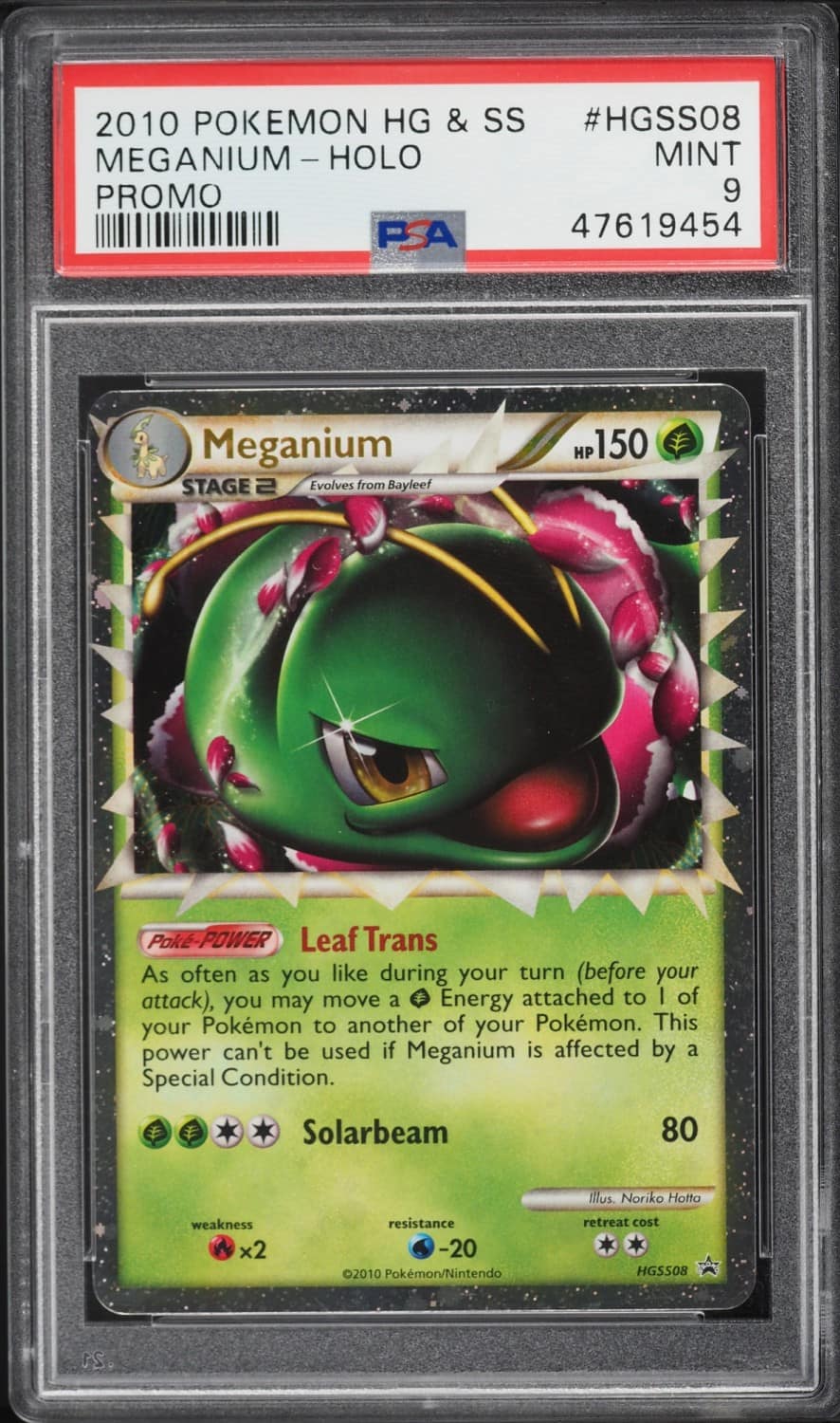 Meganium
