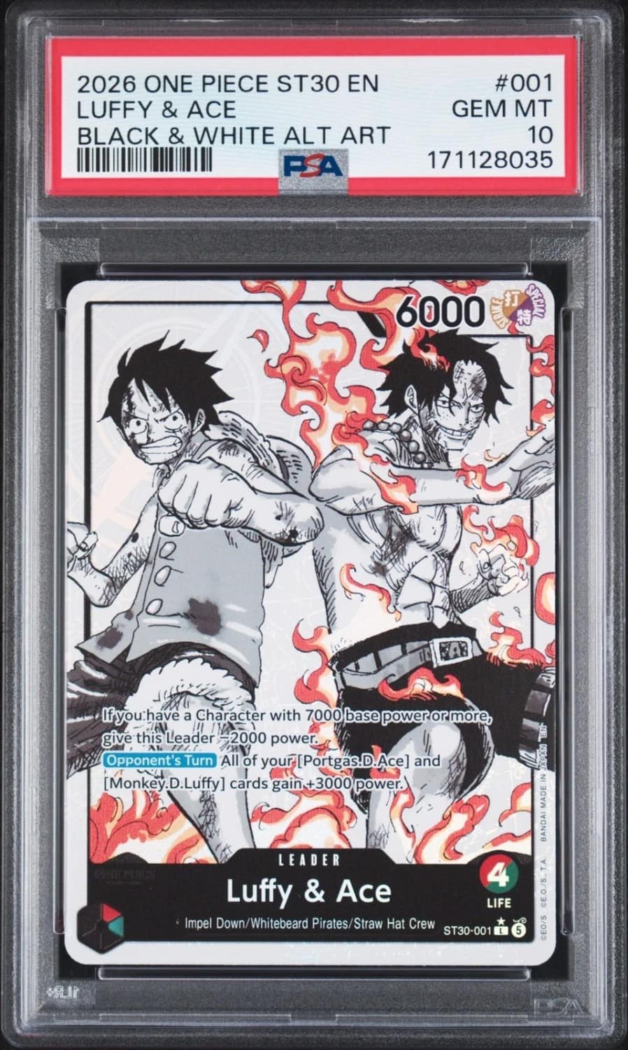 Luffy & Ace