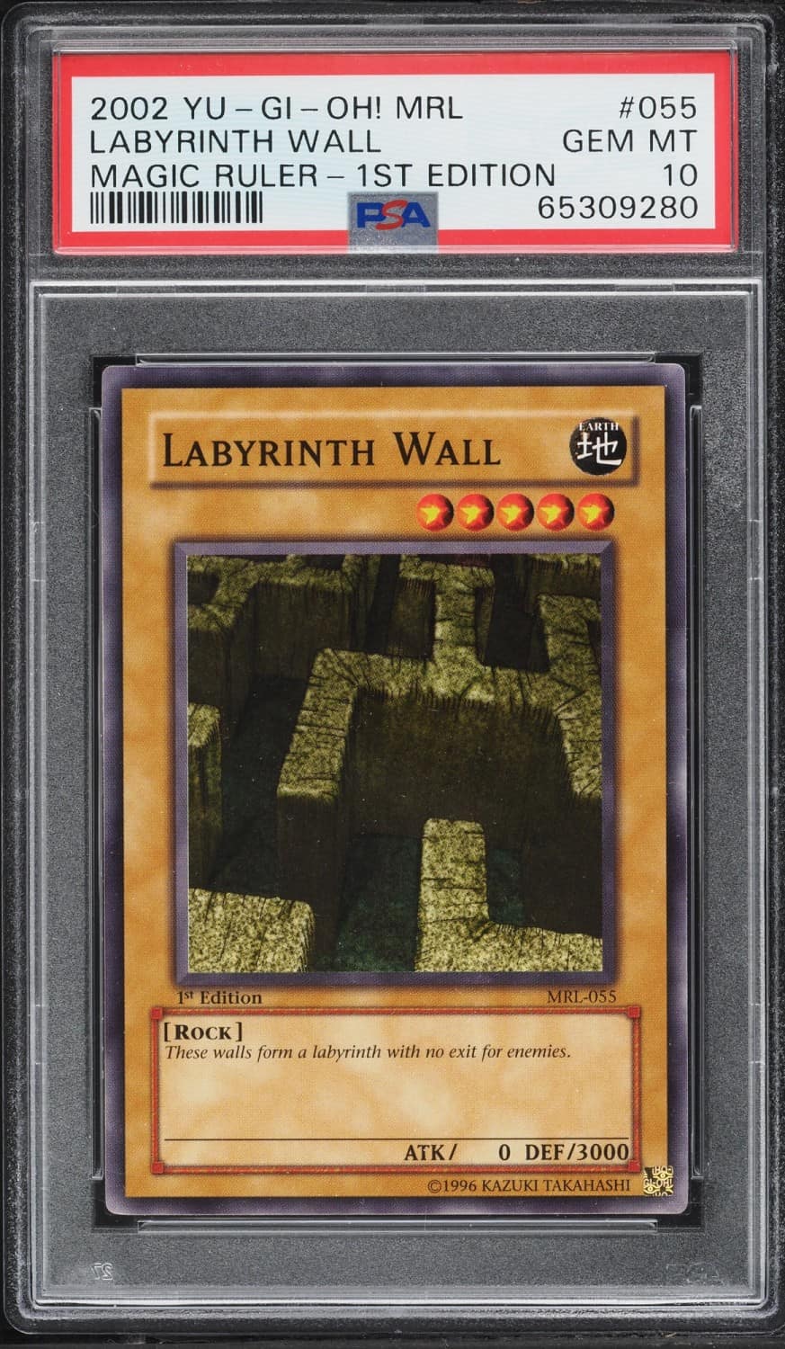 Labyrinth Wall