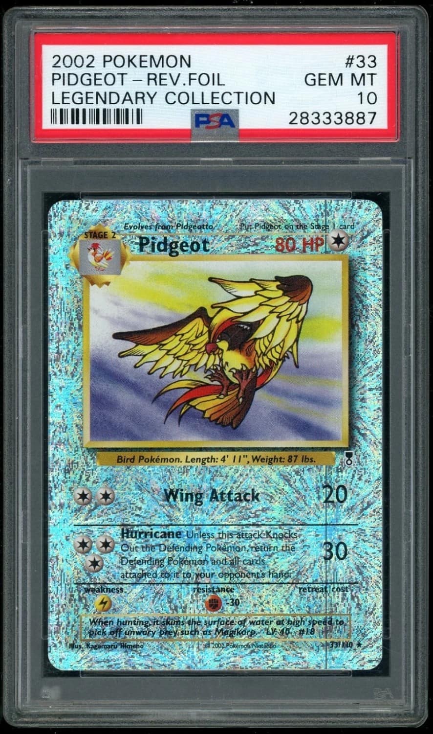 Pidgeot