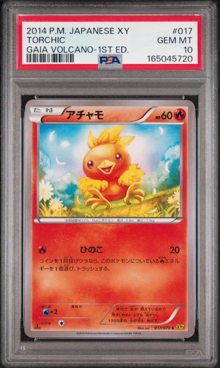 Torchic