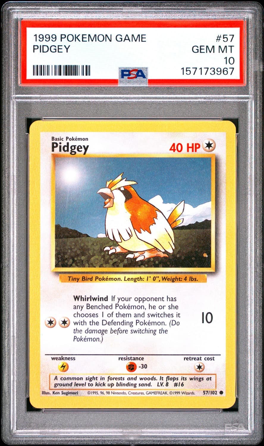 Pidgey
