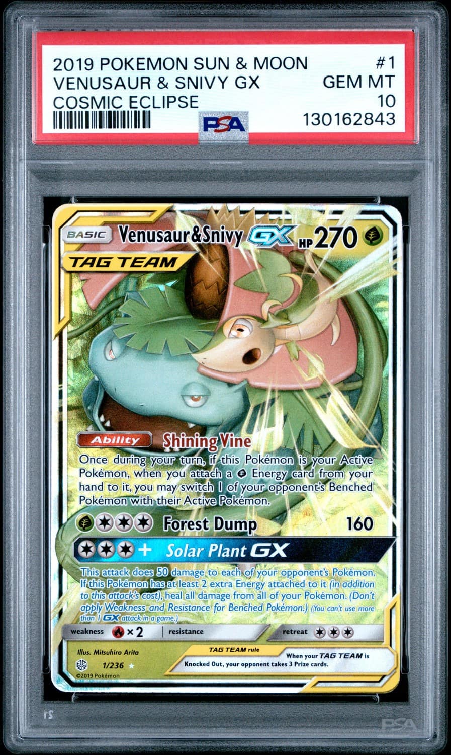 Venusaur & Snivy Gx