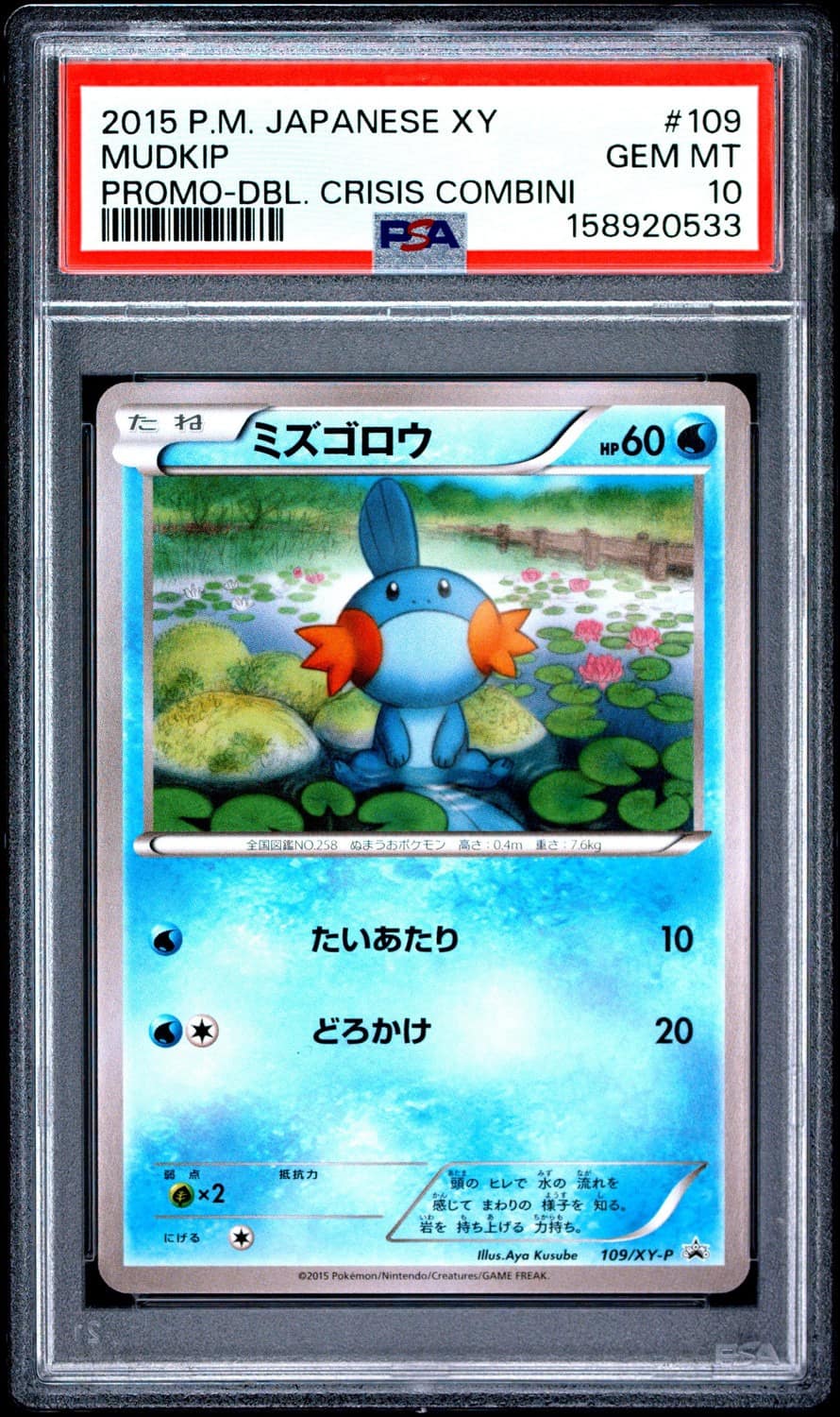 Mudkip