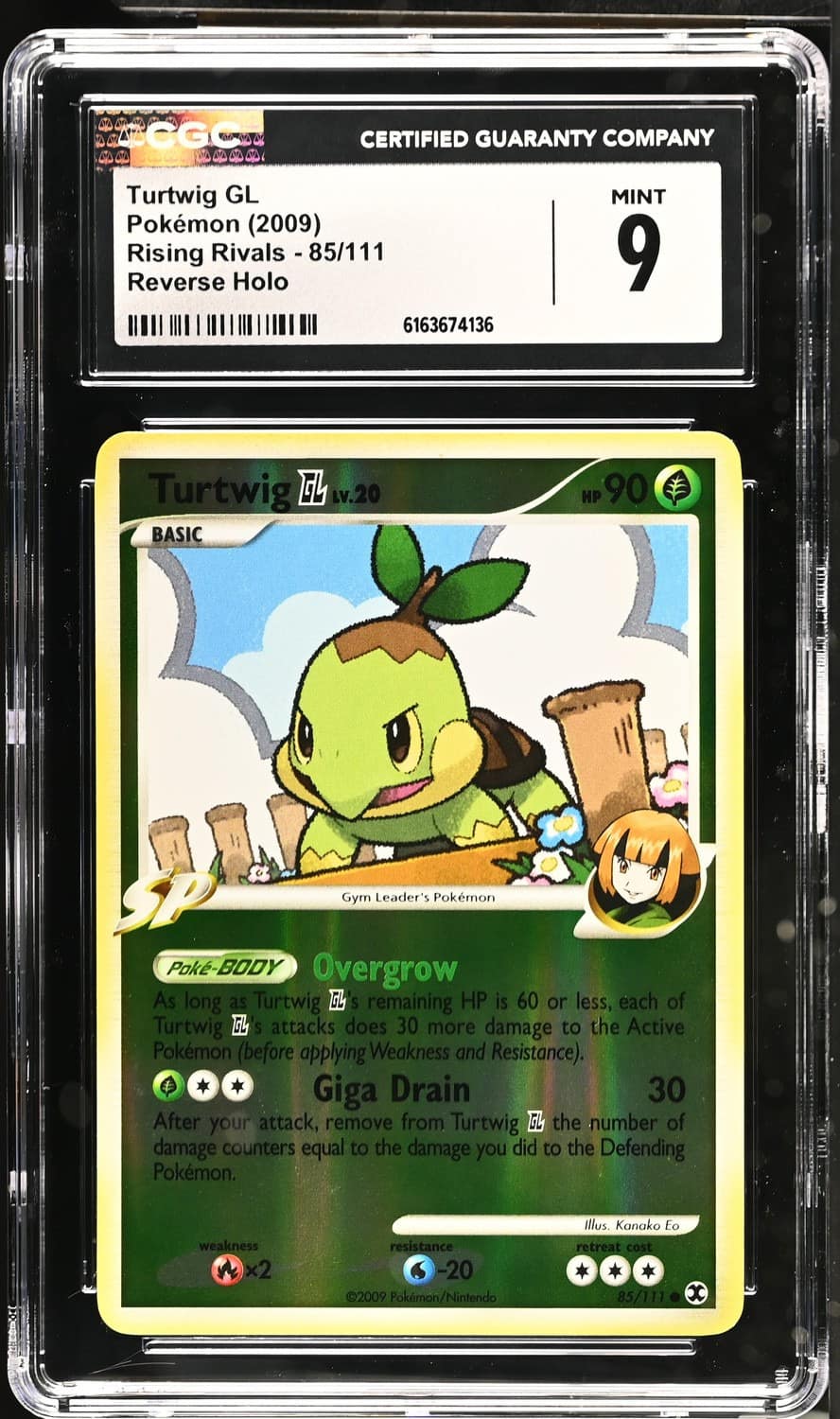 Turtwig Gl