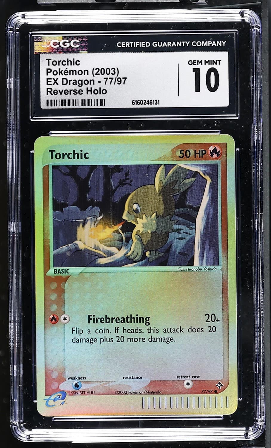 Torchic
