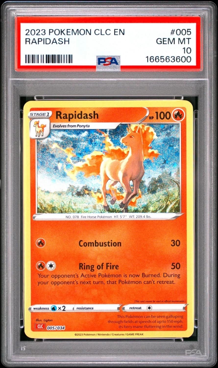 Rapidash