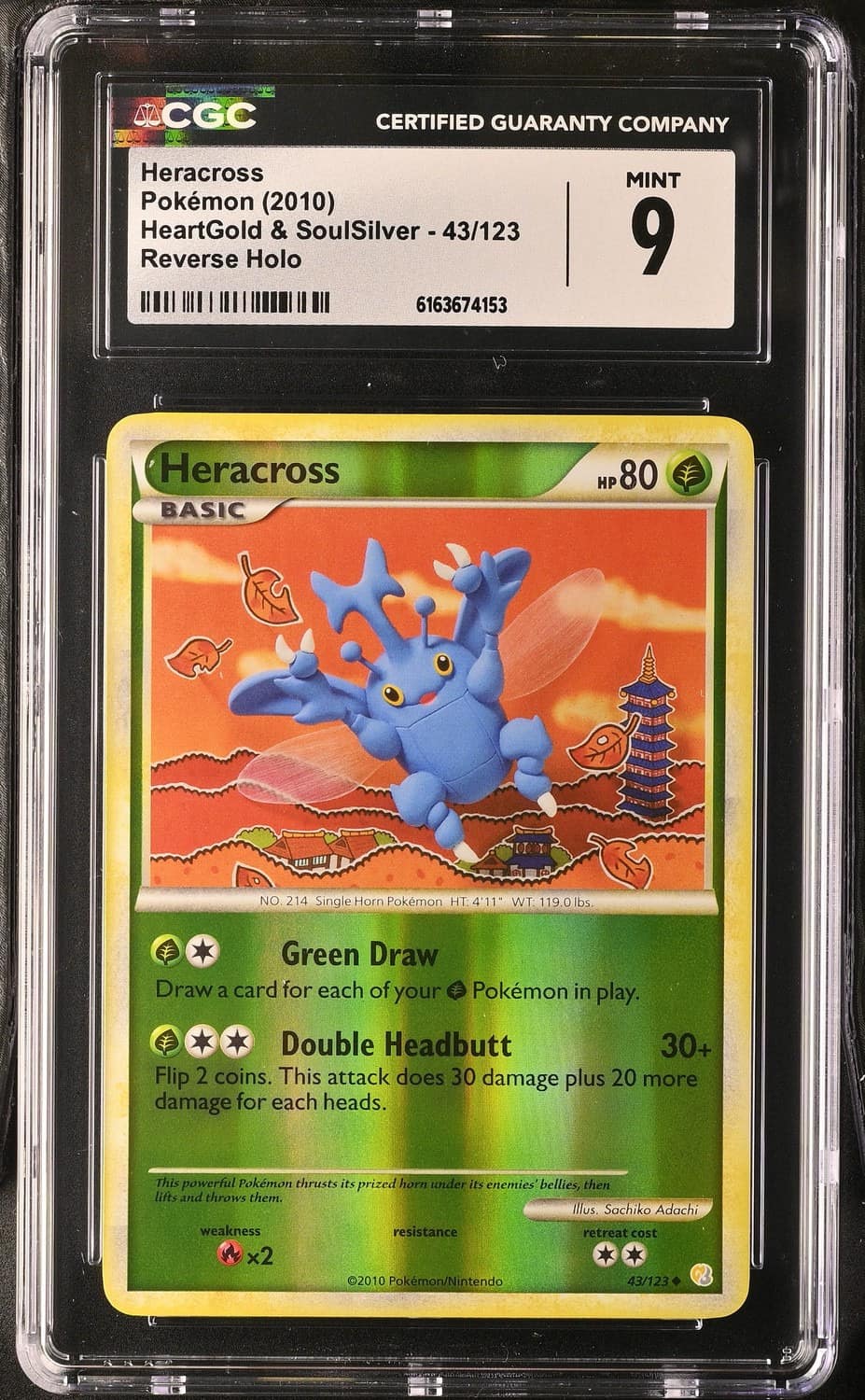 Heracross