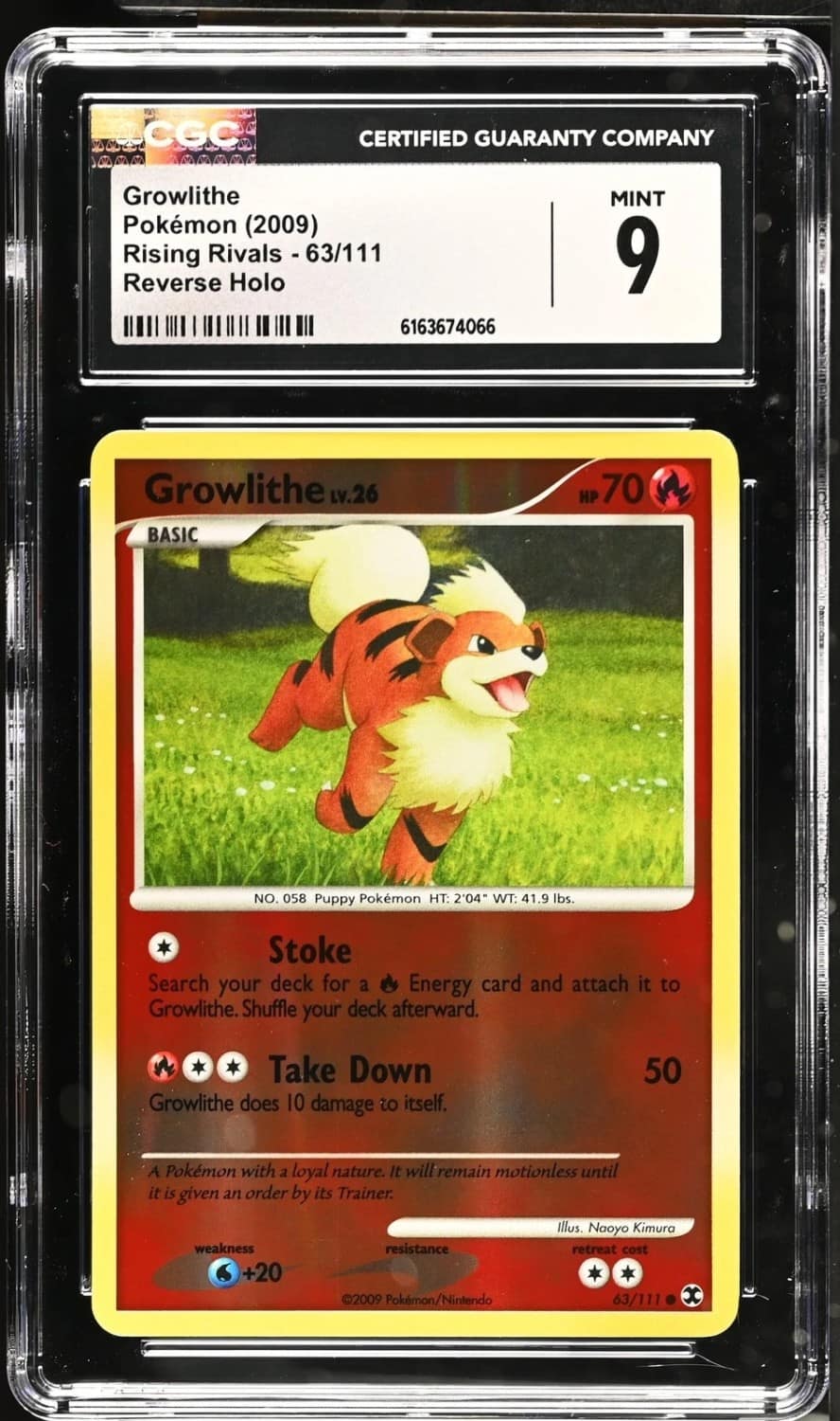 Growlithe