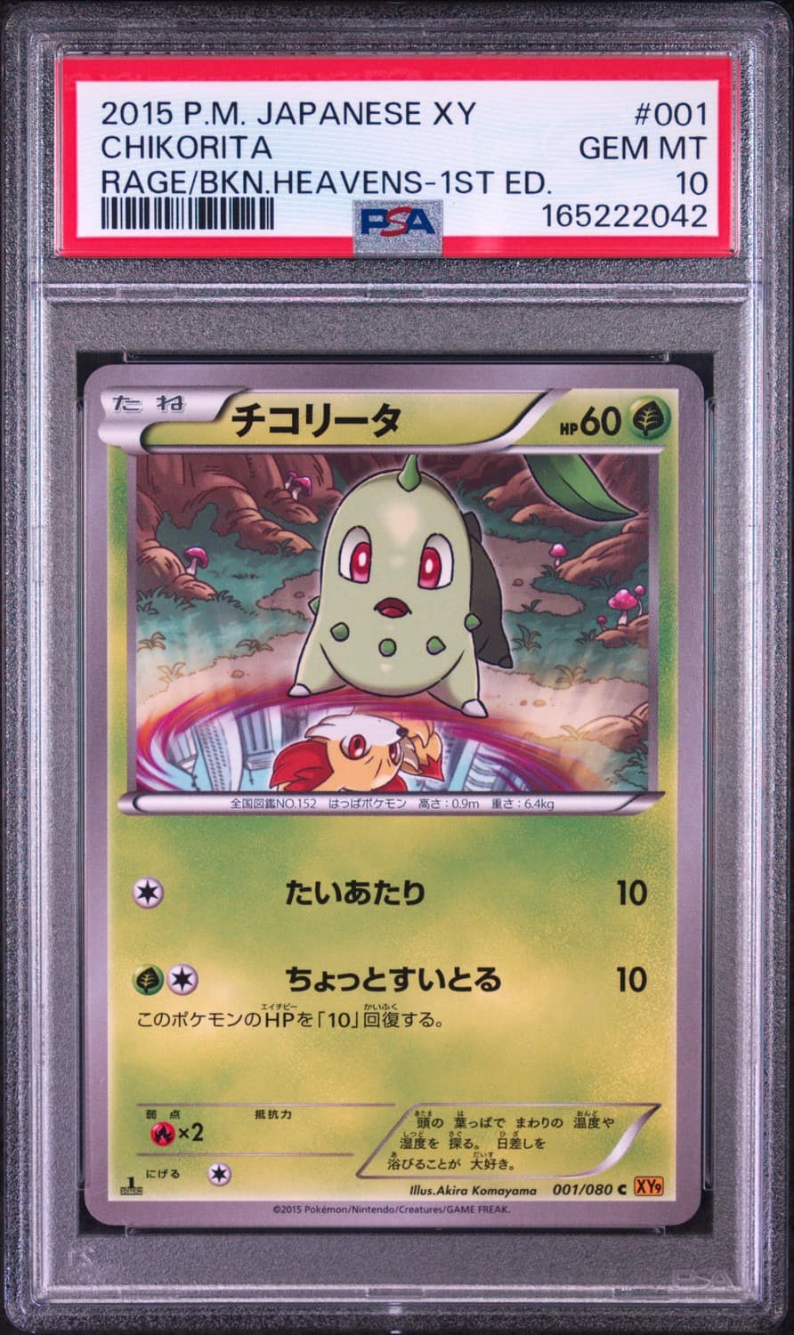 Chikorita