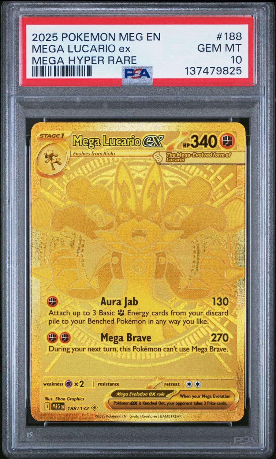 Mega Lucario Ex