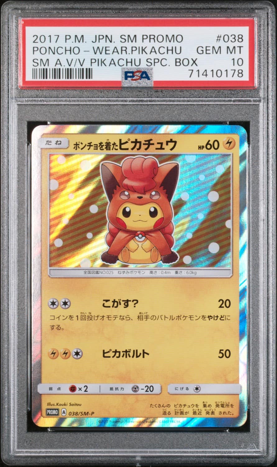 Poncho-Wearing Pikachu