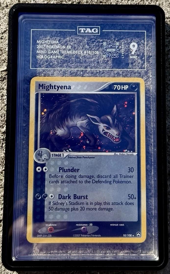 Mightyena