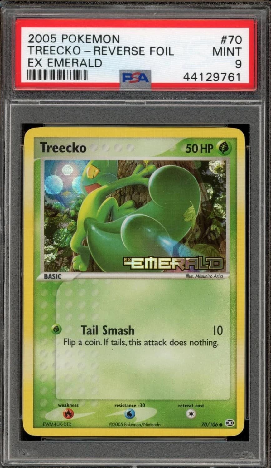 Treecko