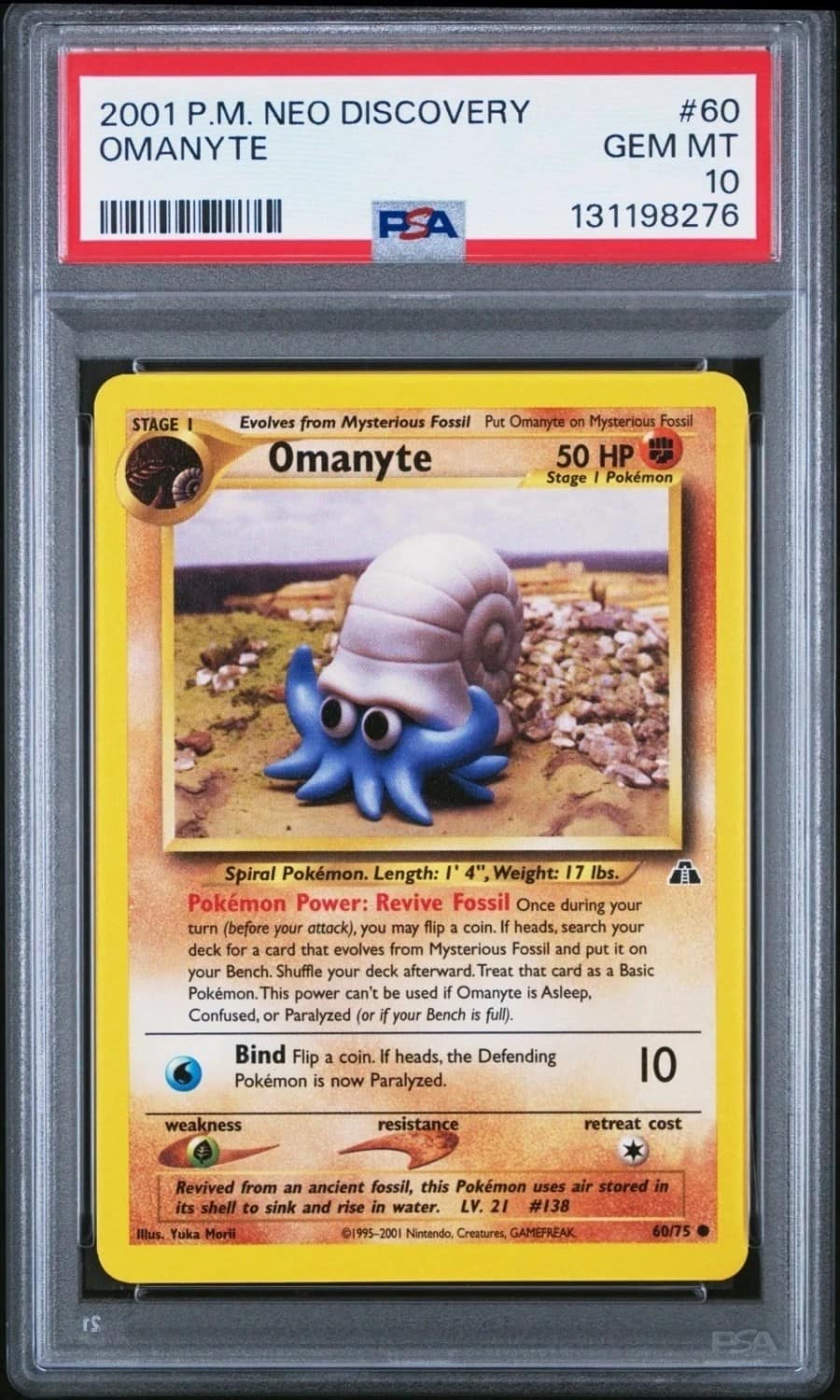 Omanyte
