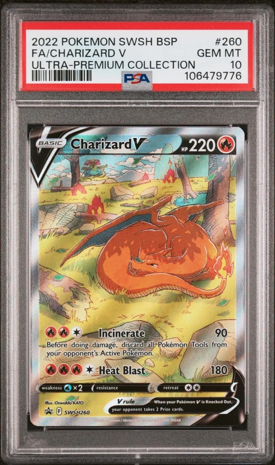 Charizard V